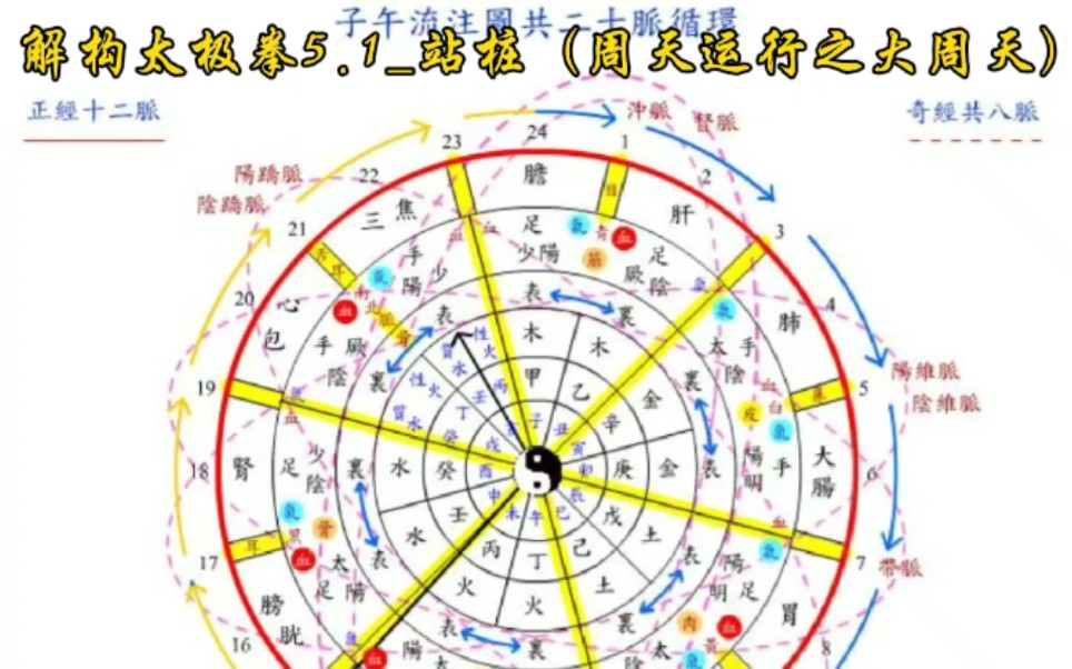 解构太极拳5.1站桩(周天运行之大周天)哔哩哔哩bilibili