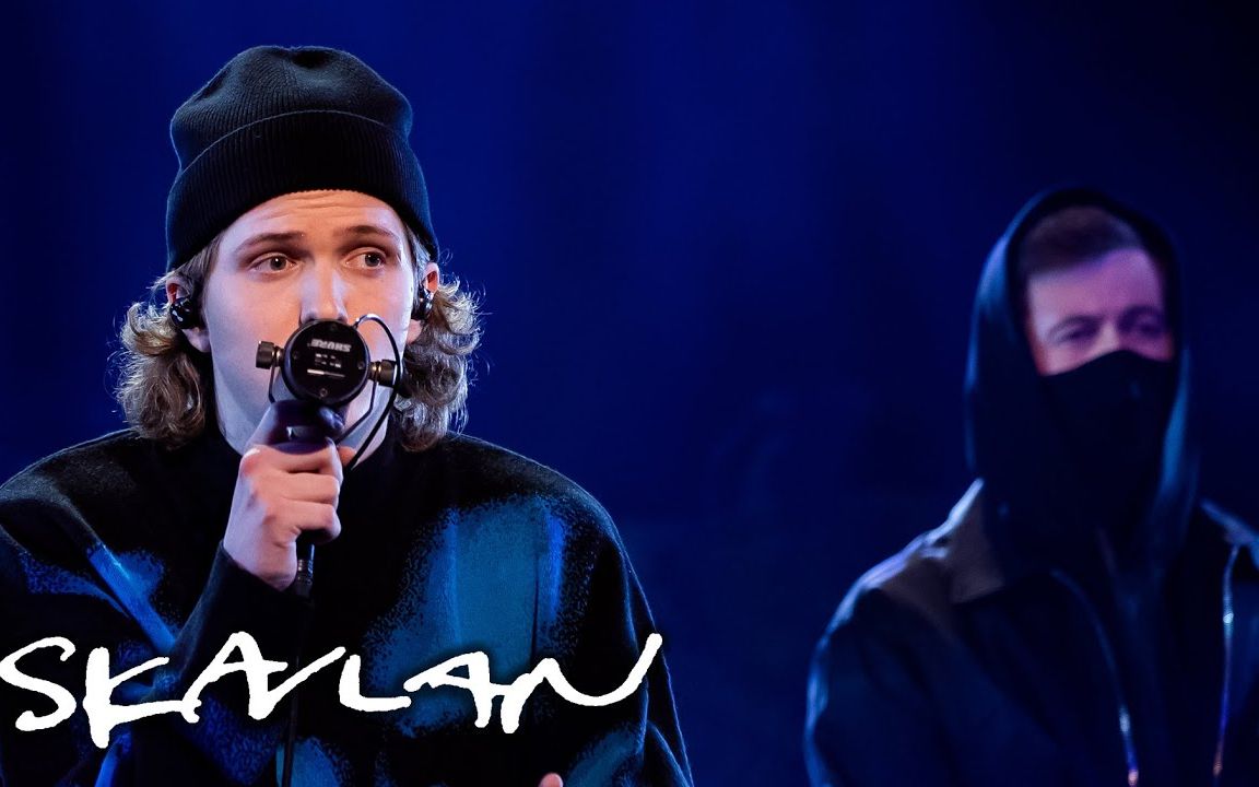 中英alanwalkerk391boyinspaceparadiseskavlan现场版