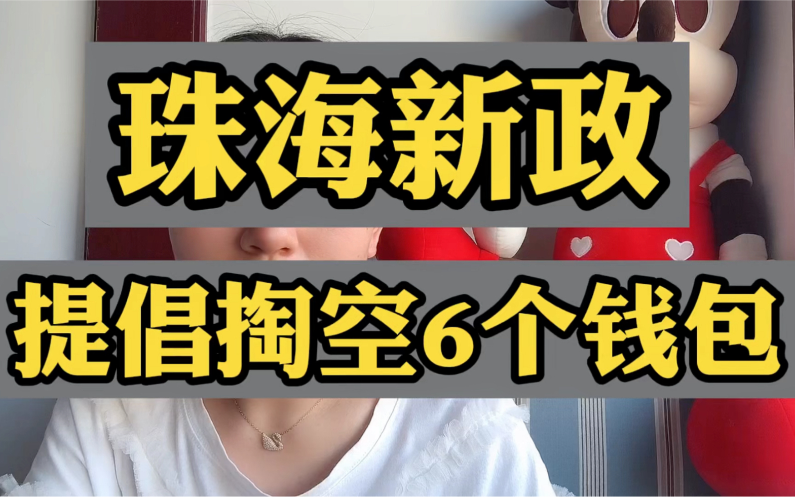 珠海提倡掏空6个钱包实现贷贷相传,意味着什么?哔哩哔哩bilibili