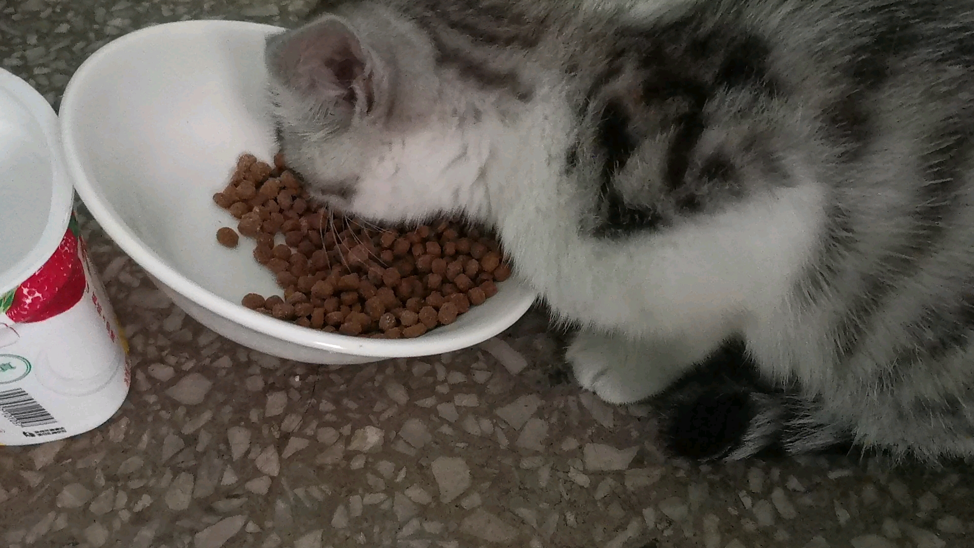 好险呀,差一点就饿死了!