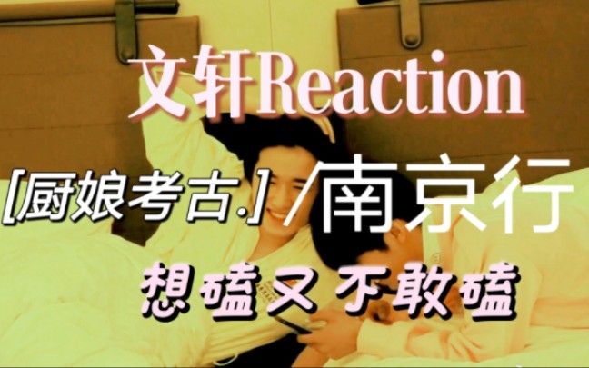 【文轩Reaction】南京行|想磕又不敢磕的糖|厨娘考古既震惊又疑惑哔哩哔哩bilibili