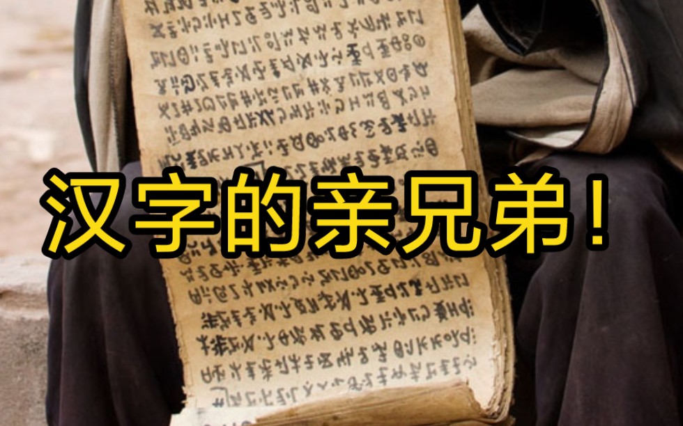 [图]世界上竟然存在第二种和汉字类似的文字！