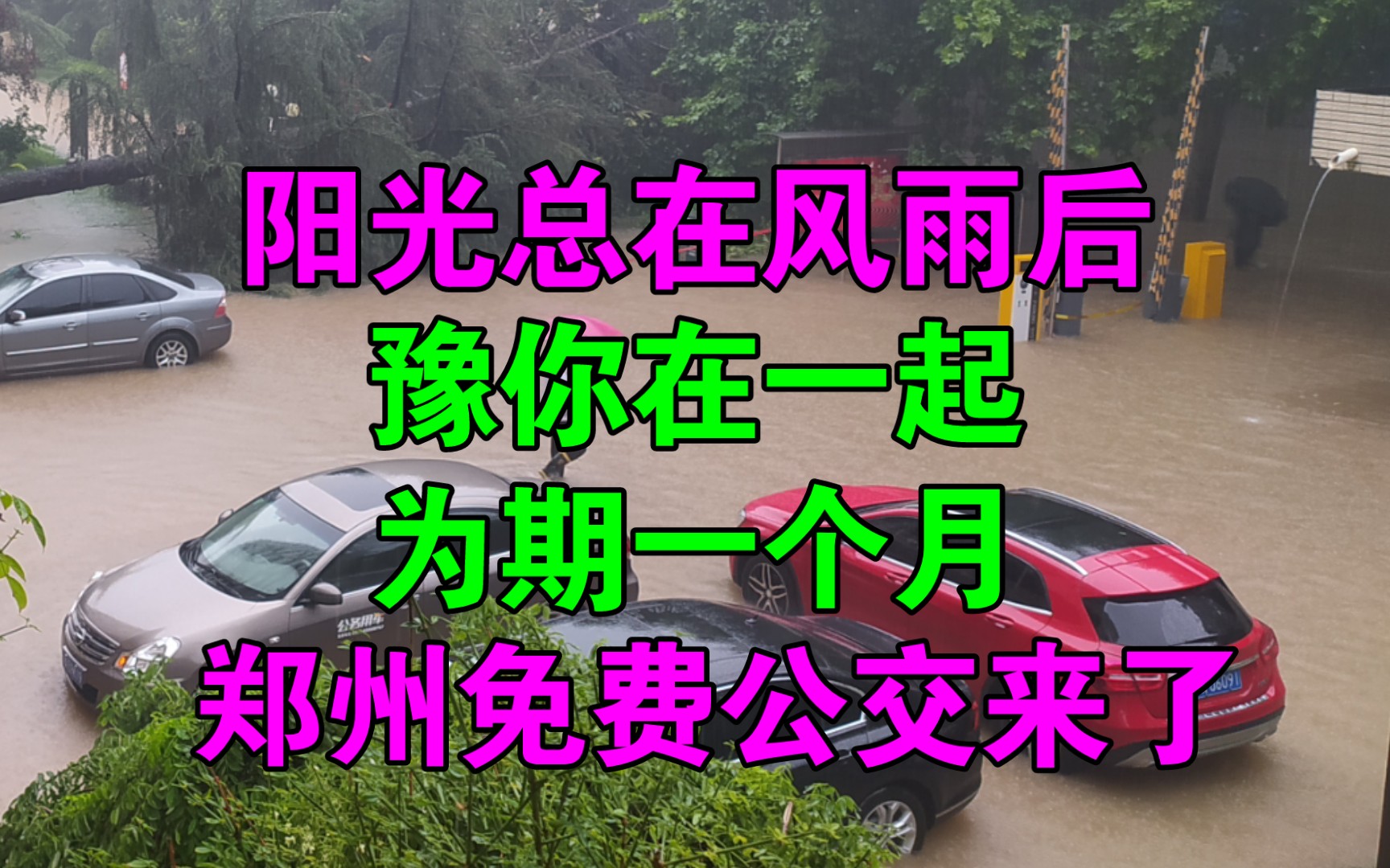 [图]“阳光总在风雨后，豫你在一起”为期一个月，郑州免费公交来了