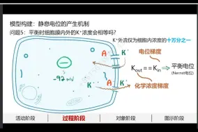 Descargar video: 特等奖《神经冲动的产生与传导》