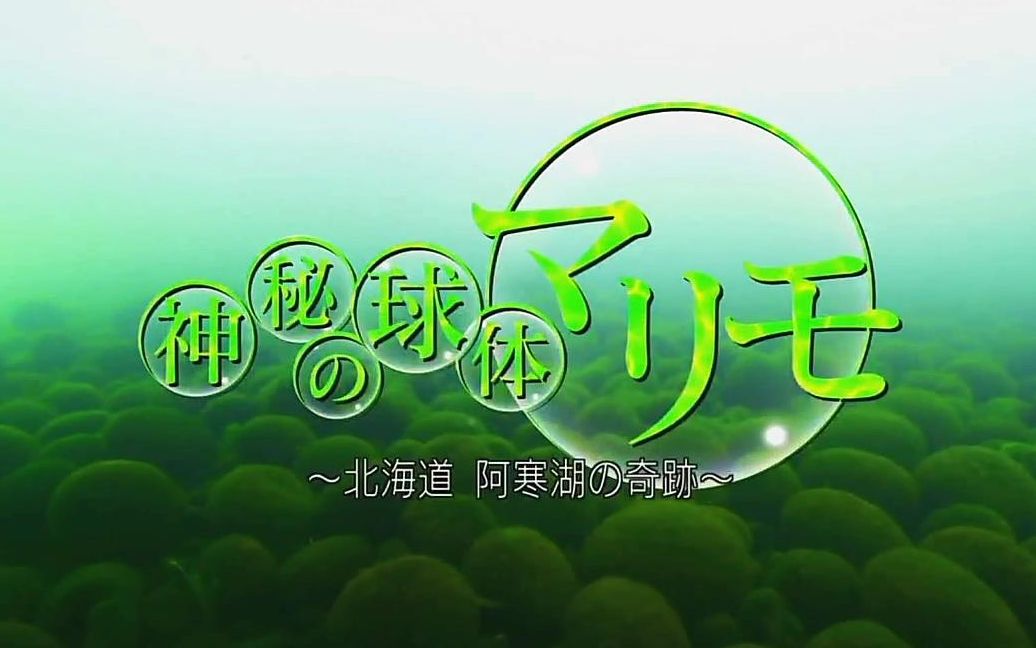 【日语学习】NHK 神秘的球体北海道阿寒湖的奇迹哔哩哔哩bilibili