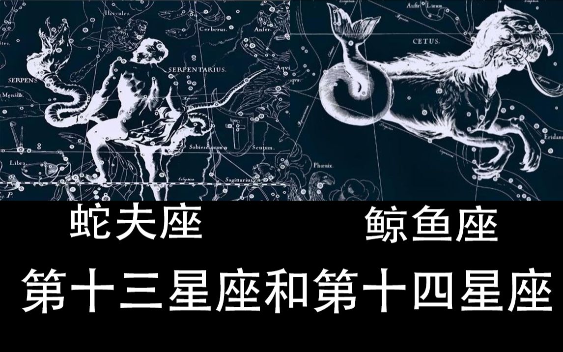 [图]神奇的第十三、十四星座，到底什么叫蛇夫座、鲸鱼座