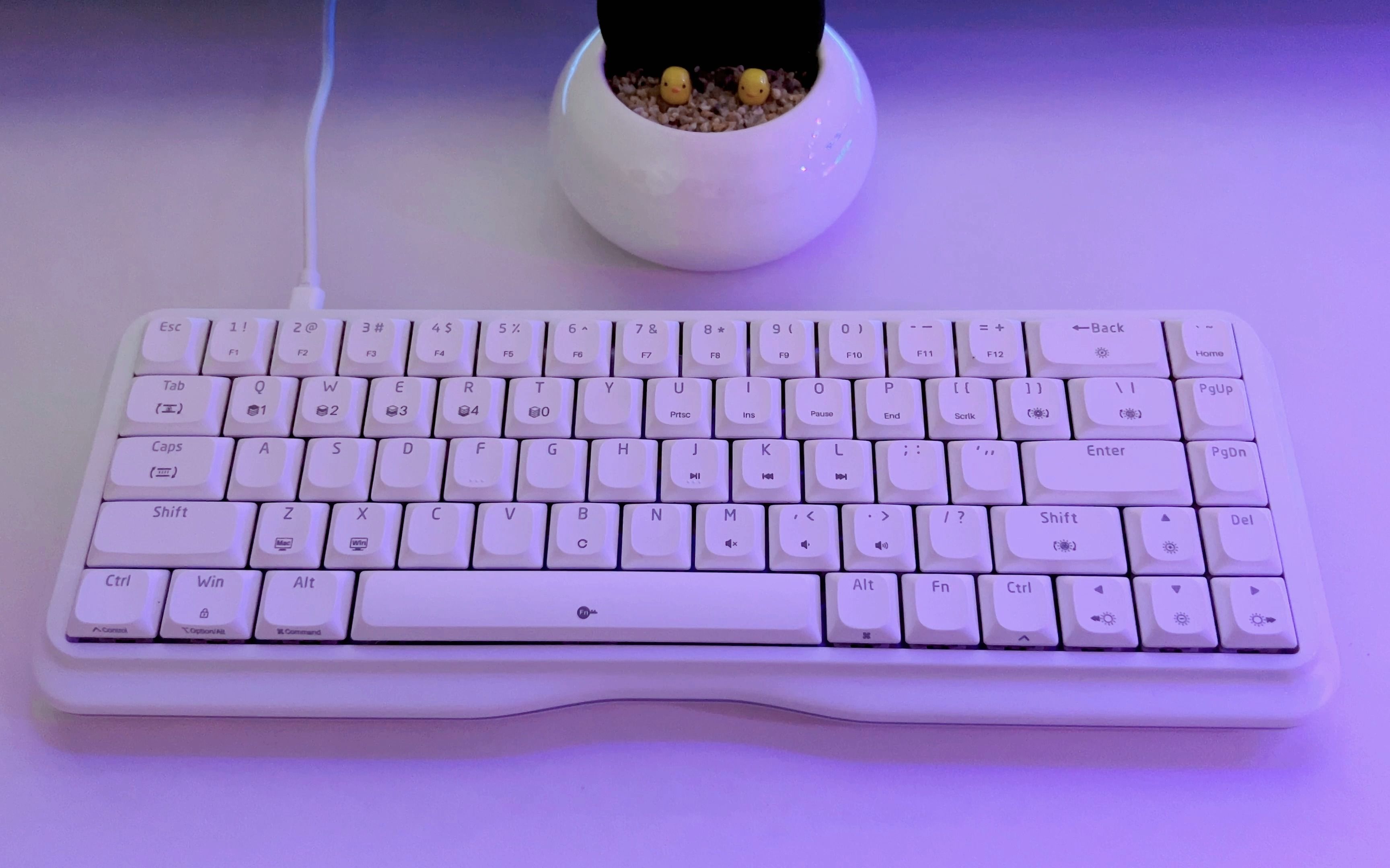 就问哪个女生能拒绝得了这么好看的键盘!