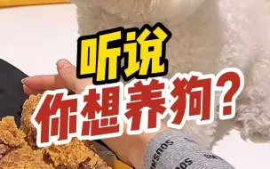 Скачать видео: 拉布拉多，吃的多，拉的多！柯基金毛博美柴犬你们也别笑！