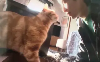 星野源 搜索结果 哔哩哔哩 Bilibili