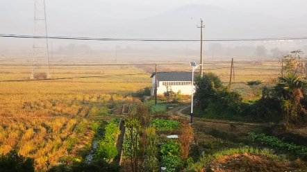 上高县蒙山镇,一年一次的冬季赶会场(大集),农历十月半,难得这么热闹啊哔哩哔哩bilibili