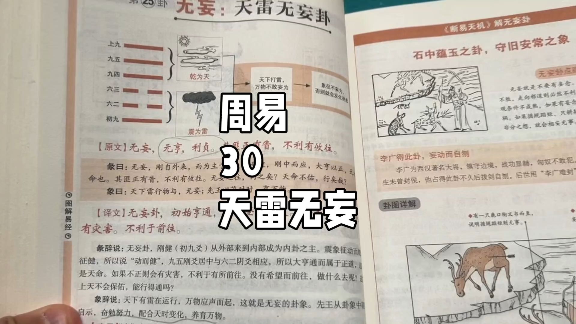 周易30,天雷无妄,玄学的基础,国学的本源,不走捷径,静下心来看完一本书.哔哩哔哩bilibili