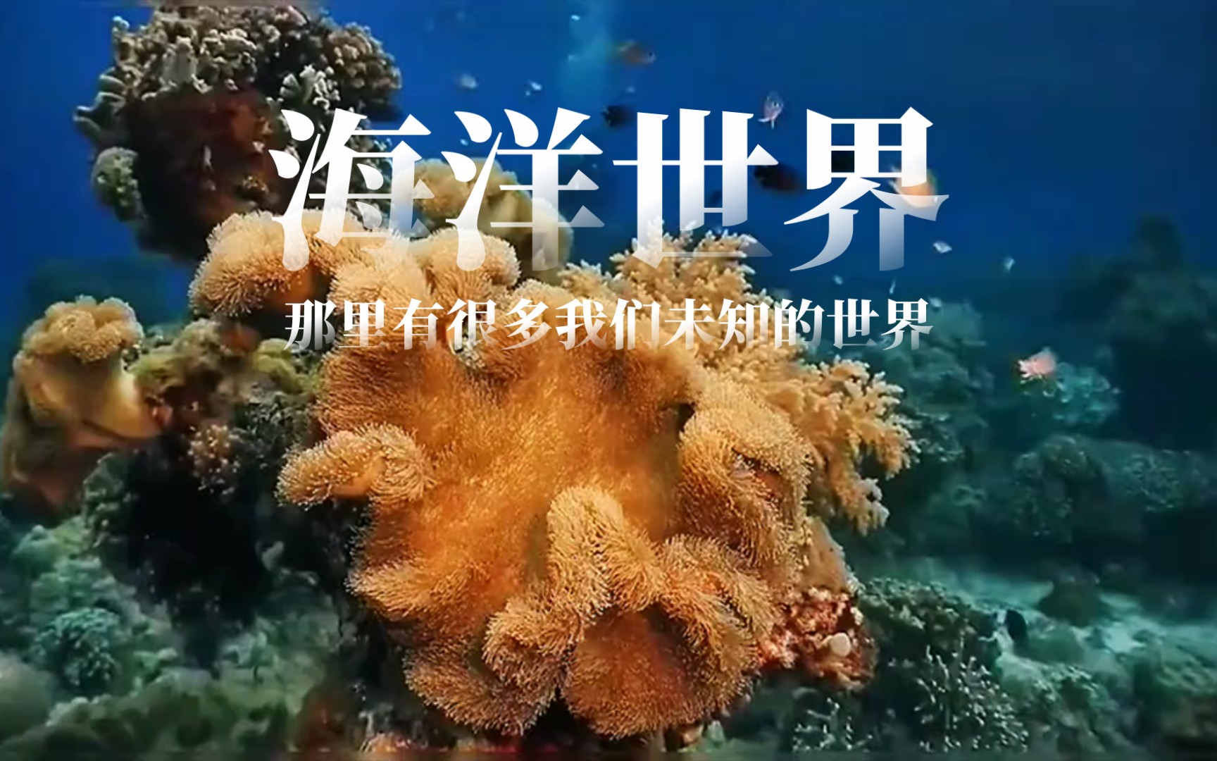 [图]海洋世界_那里有很多我们未知的世界