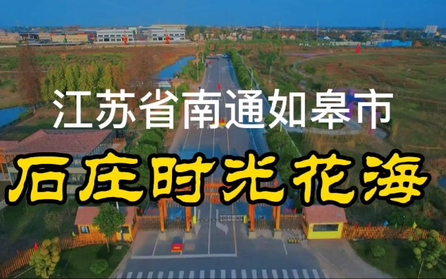 江苏省南通如皋市石庄时光花海【如皋石庄业琛广场 名品专柜】哔哩哔哩bilibili