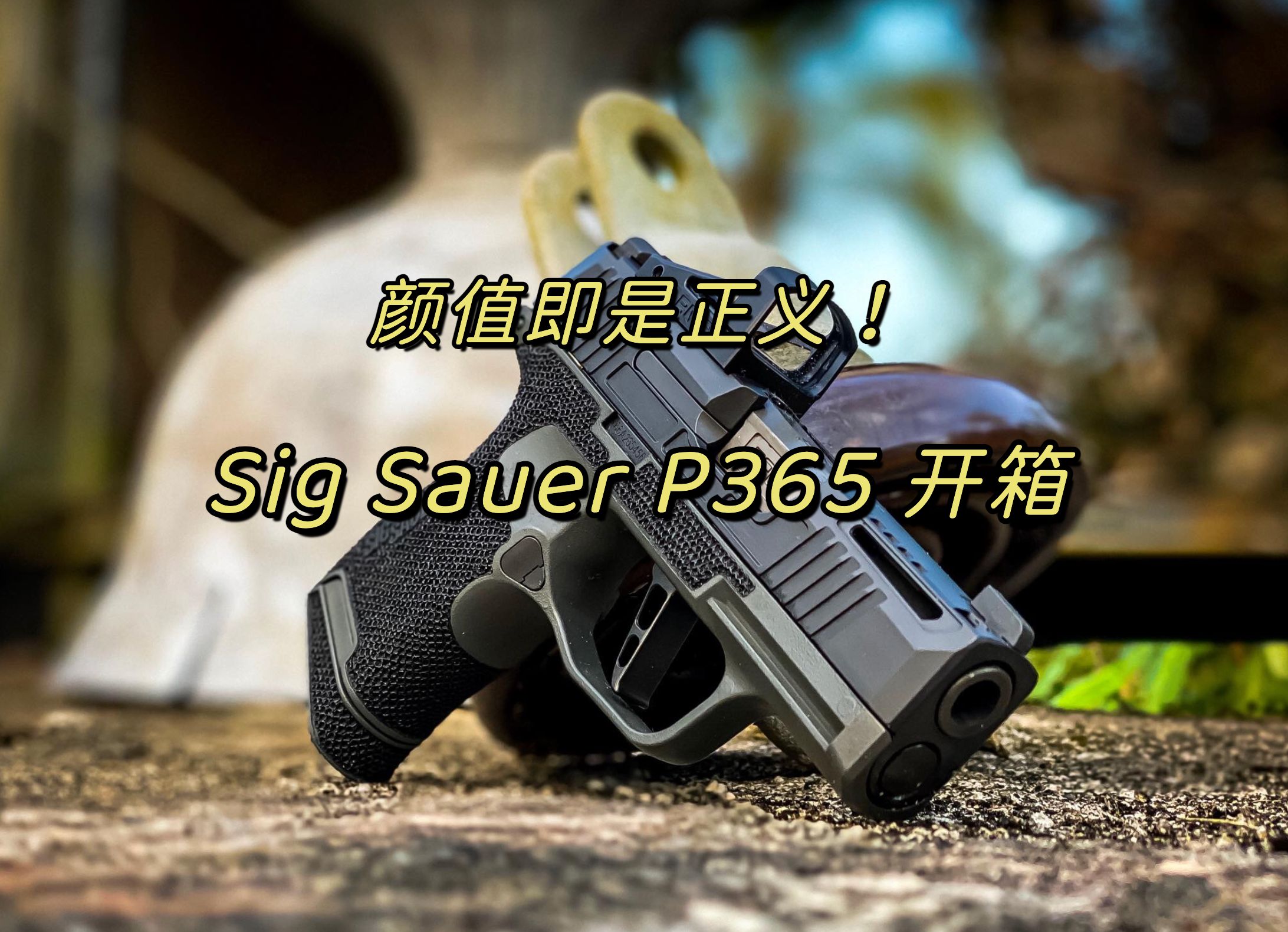少女杀手颜值即是正义- sig sauer p365 开箱