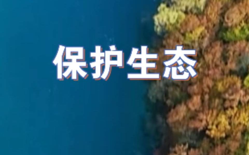 今年是“两山论”提出16周年，让我们紧随习近平总书记步伐，走好生态致富路。