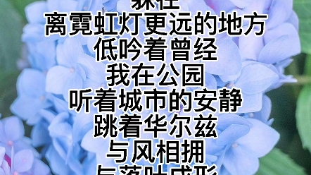 现代诗——《跳舞》哔哩哔哩bilibili