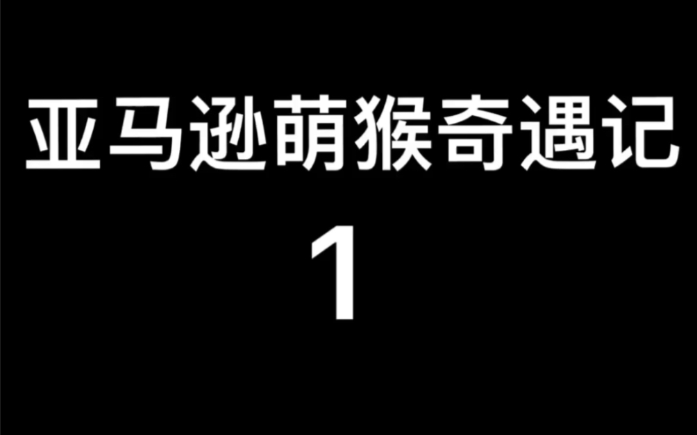 [图]2015年法国电影～亚马逊萌猴奇遇记1