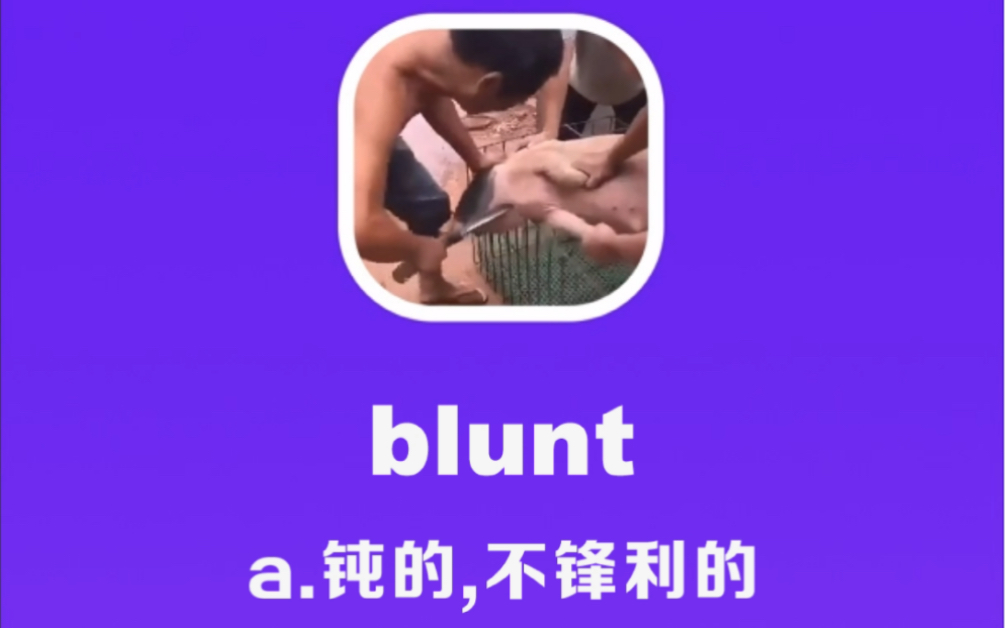 blunt:钝的,不锋利的哔哩哔哩bilibili