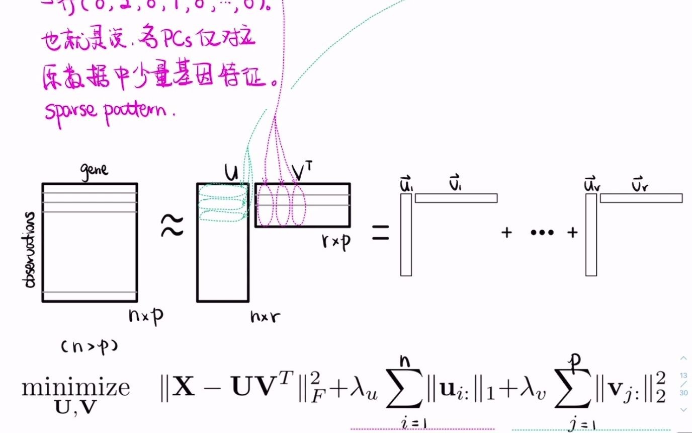 [Neural Decoding] Matrix Decomposition 4. Sparse PCA哔哩哔哩bilibili