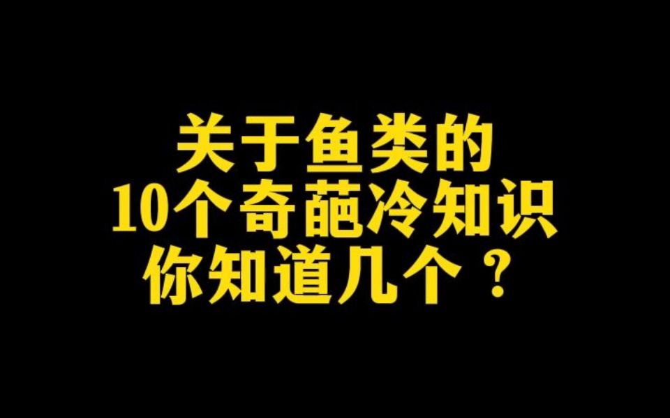 十个有关鱼类的冷知识哔哩哔哩bilibili