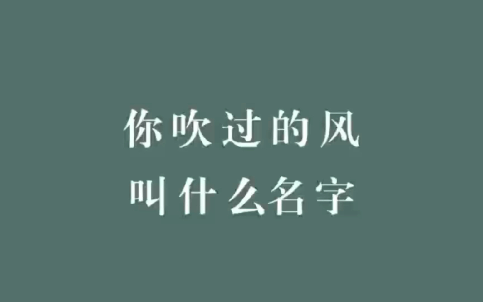 每一阵风在古代都有自己的名字,你吹过的风叫什么名字?哔哩哔哩bilibili