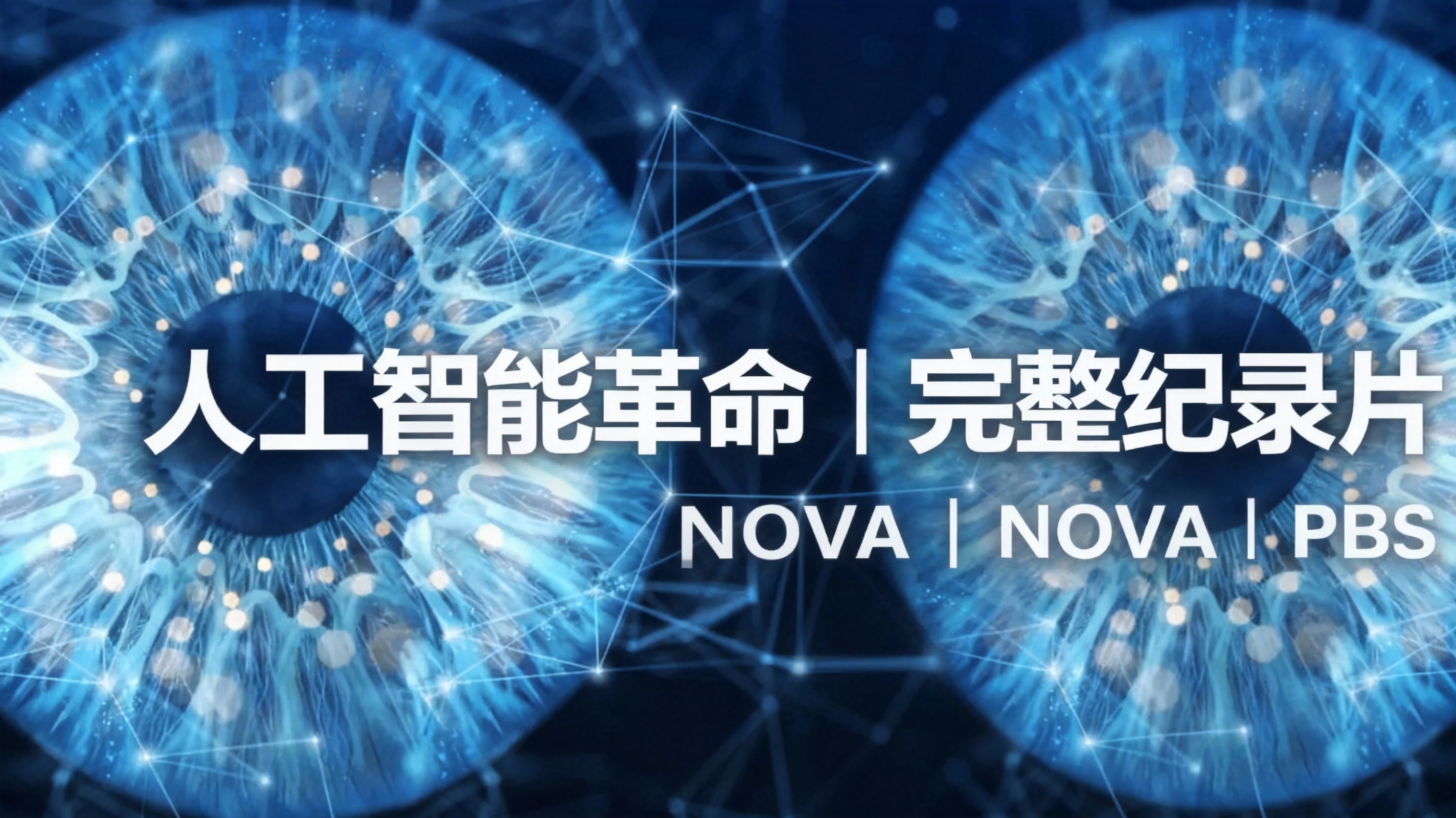人工智能革命 | 完整纪录片 | NOVA | PBS - NOVA PBS Official