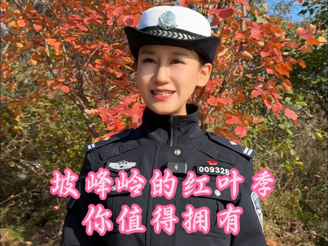 出行提示 北京最美的季节,来坡峰岭赏红叶吧!哔哩哔哩bilibili