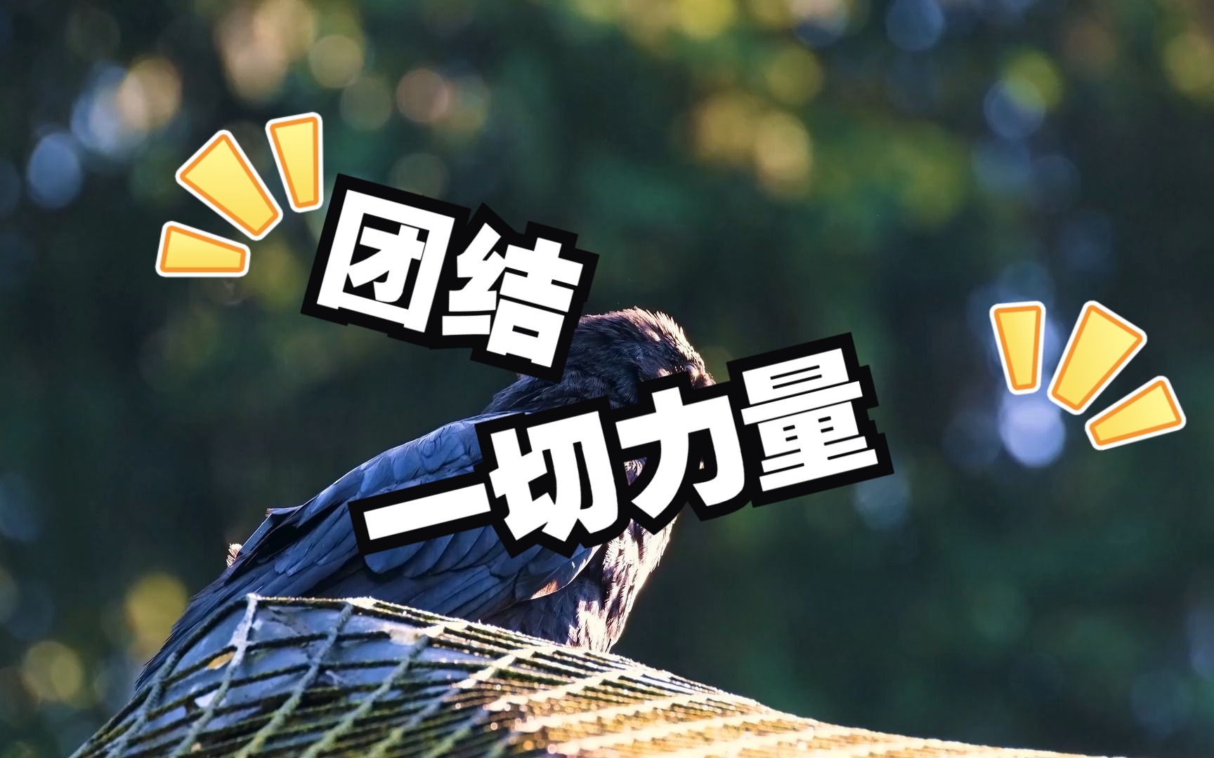 团结一切可以团结的力量,牛人总是笼络一群比自己牛的人一起做事!