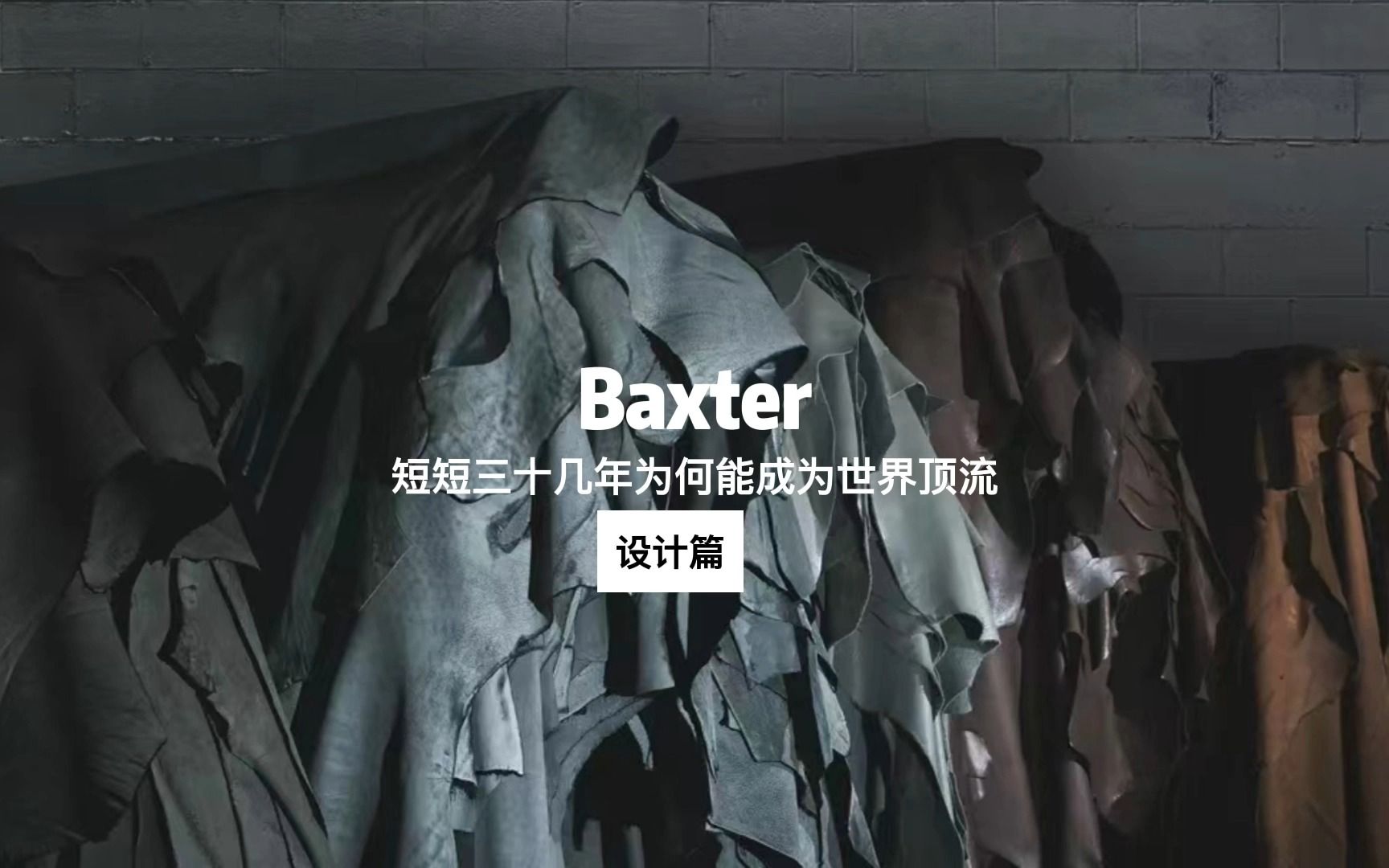 Baxter|短短三十几年如何成为世界顶流(上)哔哩哔哩bilibili