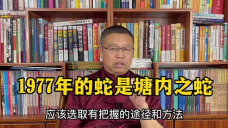 十二生肖运势详解,1977年出生的属蛇人怎么样?1977年的蛇是塘内之蛇哔哩哔哩bilibili