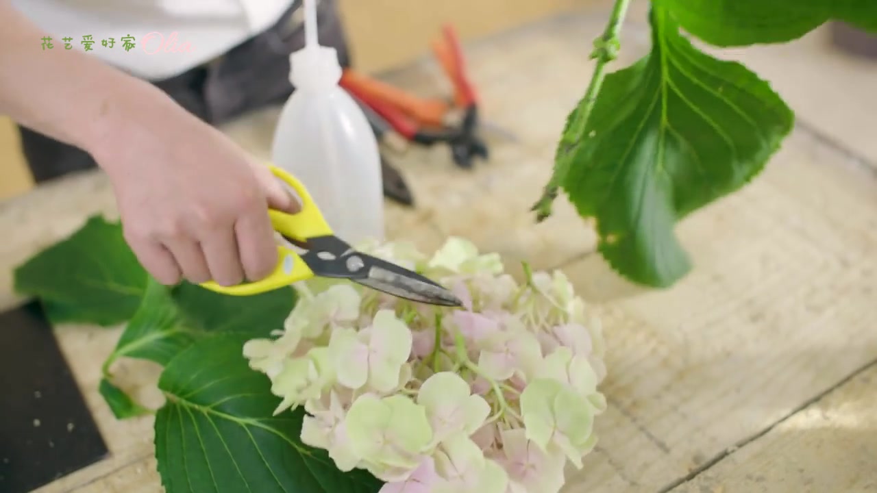 【花艺爱好家】高大上的吊灯型花艺架构作品!绣球+情人泪/柔丽丝+丝苇 by Frederic Dupre哔哩哔哩bilibili