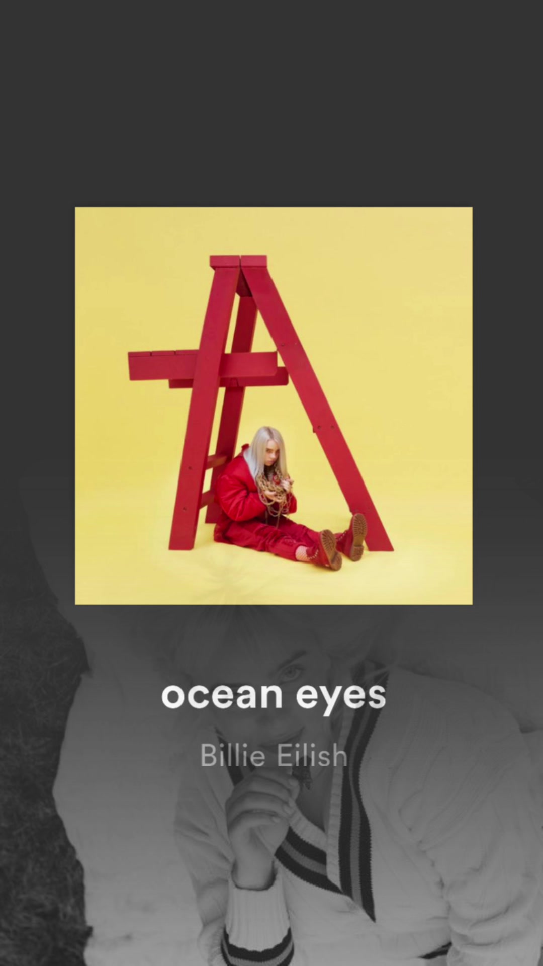 海洋眼睛 billie eilish