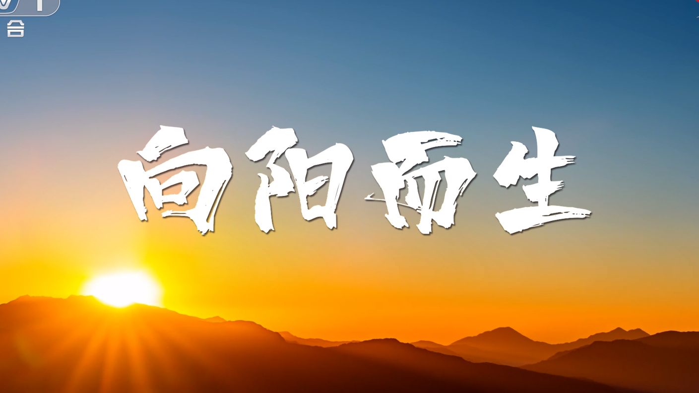 大国品牌 x 振东品牌片《向阳而生》