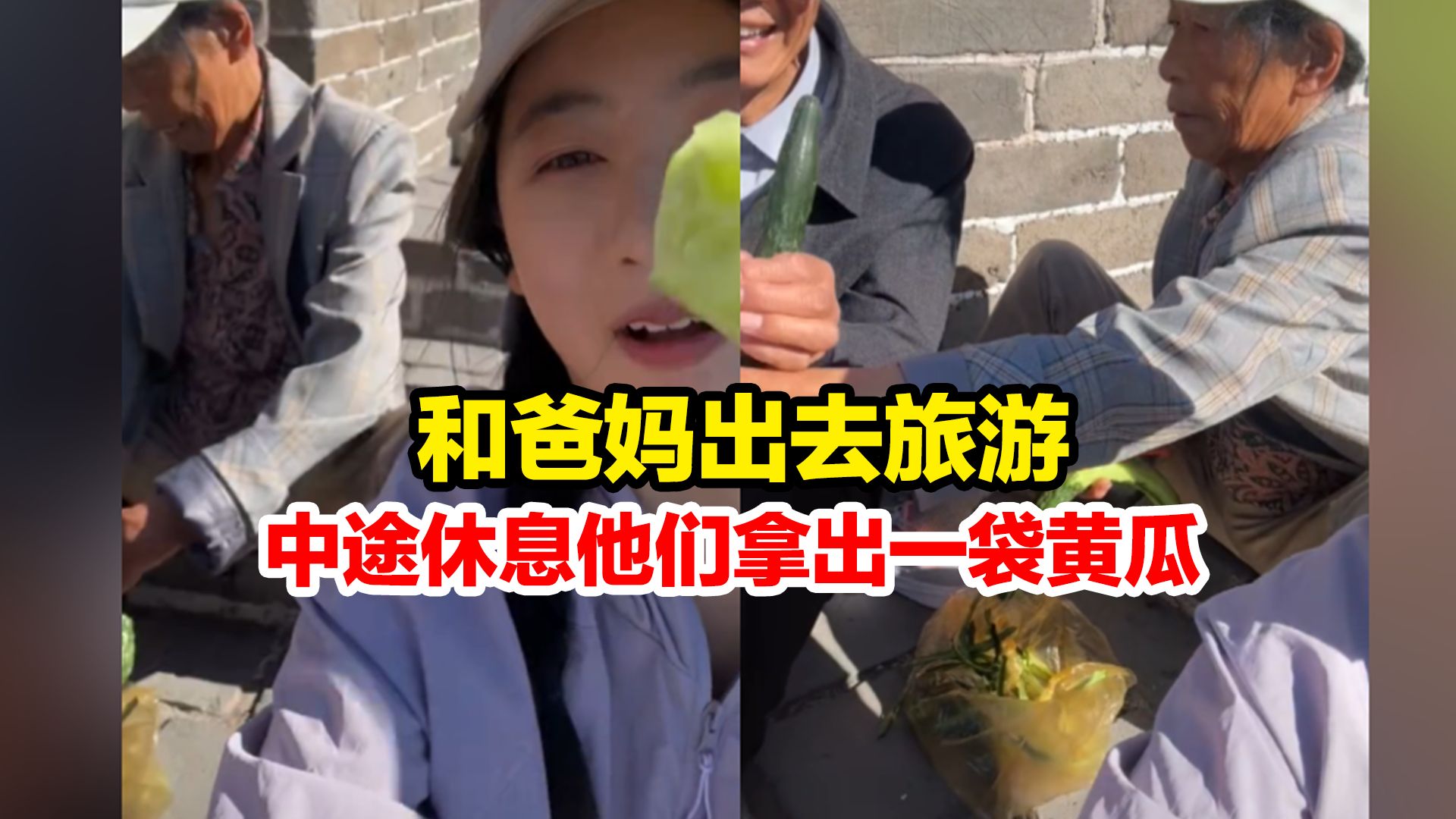 女生带爸妈爬长城,中途休息时他们拿出了从自己家田里摘的黄瓜一起吃,网友:如果我路过 真的会羡慕哔哩哔哩bilibili