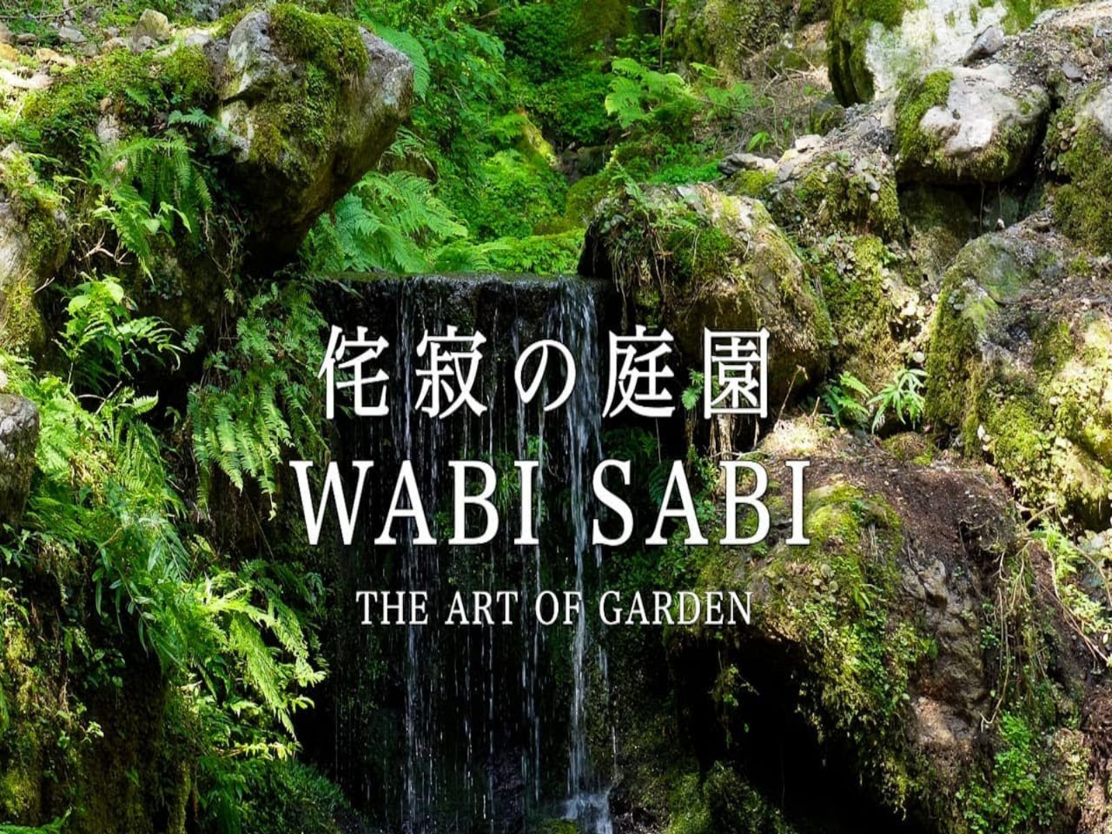 【日本巡礼高清4K】京都 侘び寂びの庭园 | Wabi Sabi | The Art Of Gardens Kyoto哔哩哔哩bilibili