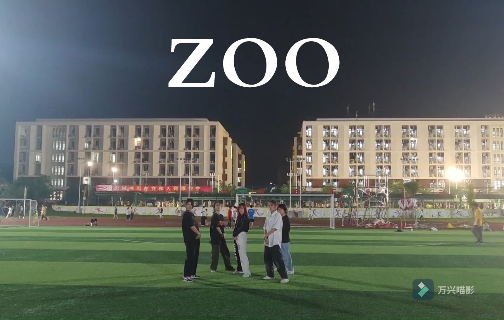 《ZOO》 这种力度可以入划吗!?哔哩哔哩bilibili