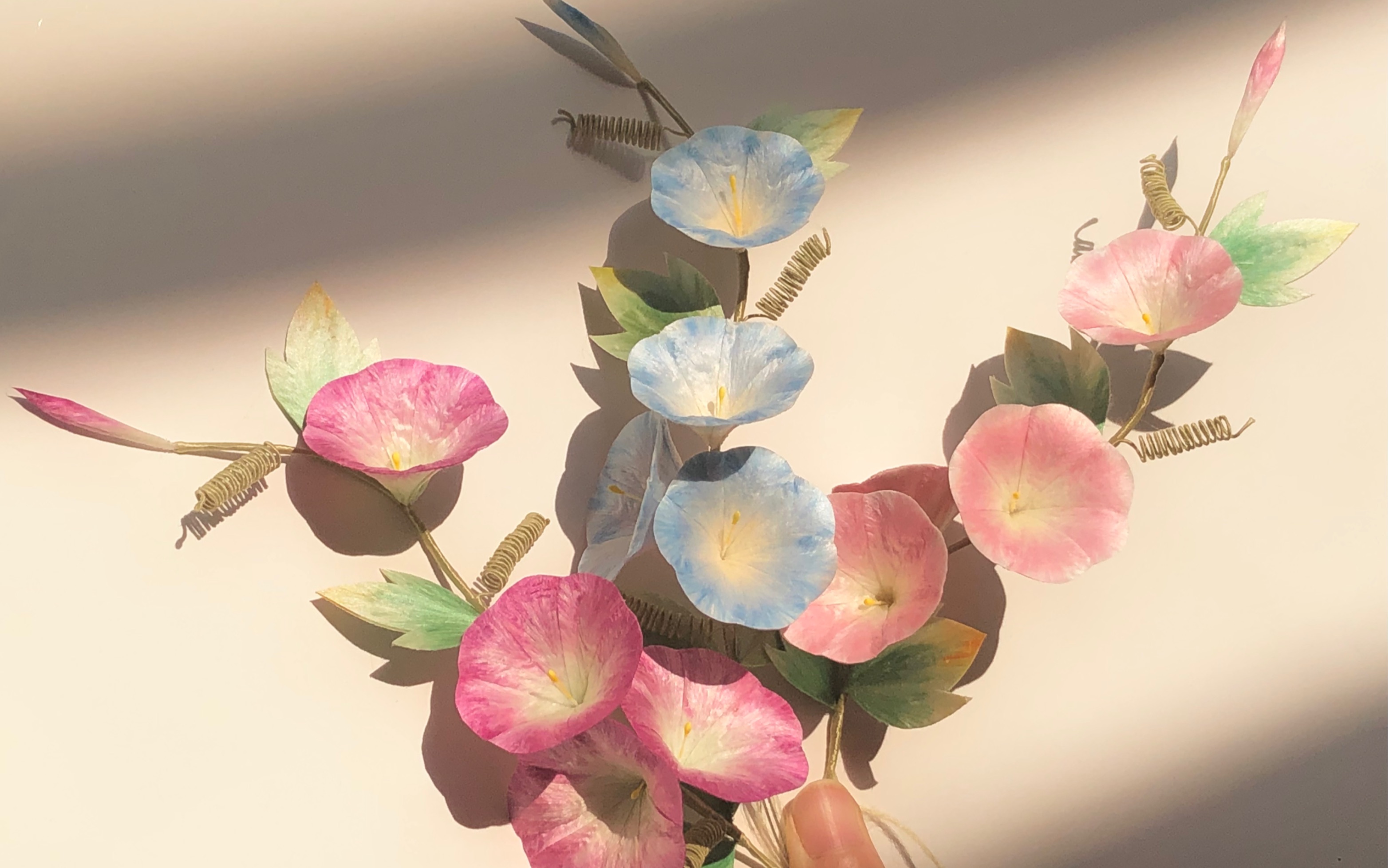 绒花牵牛花新配色更新中