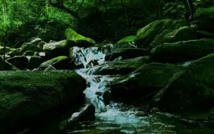 下载视频: 流水鸟鸣声， 流水音樂 ，水聲音樂, 睡眠轻音乐, 白噪音, 睡眠音樂和大自然流水聲&鳥鳴聲 ， 讀書，專心，紓壓流水声，水聲睡眠