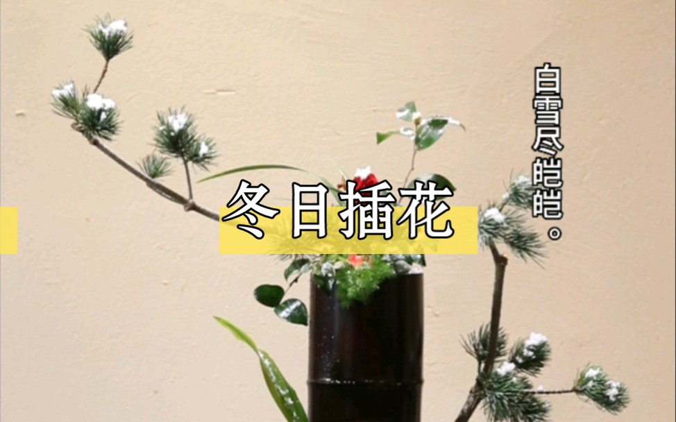 冬日雪景插花哔哩哔哩bilibili