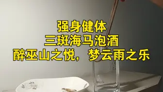 Descargar video: 三斑海马泡酒，强身健体：醉巫山之悦，梦云雨之乐