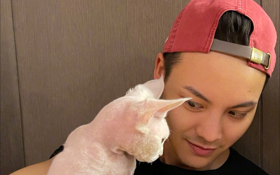 陈伟霆哄猫入睡,摸头超温柔!