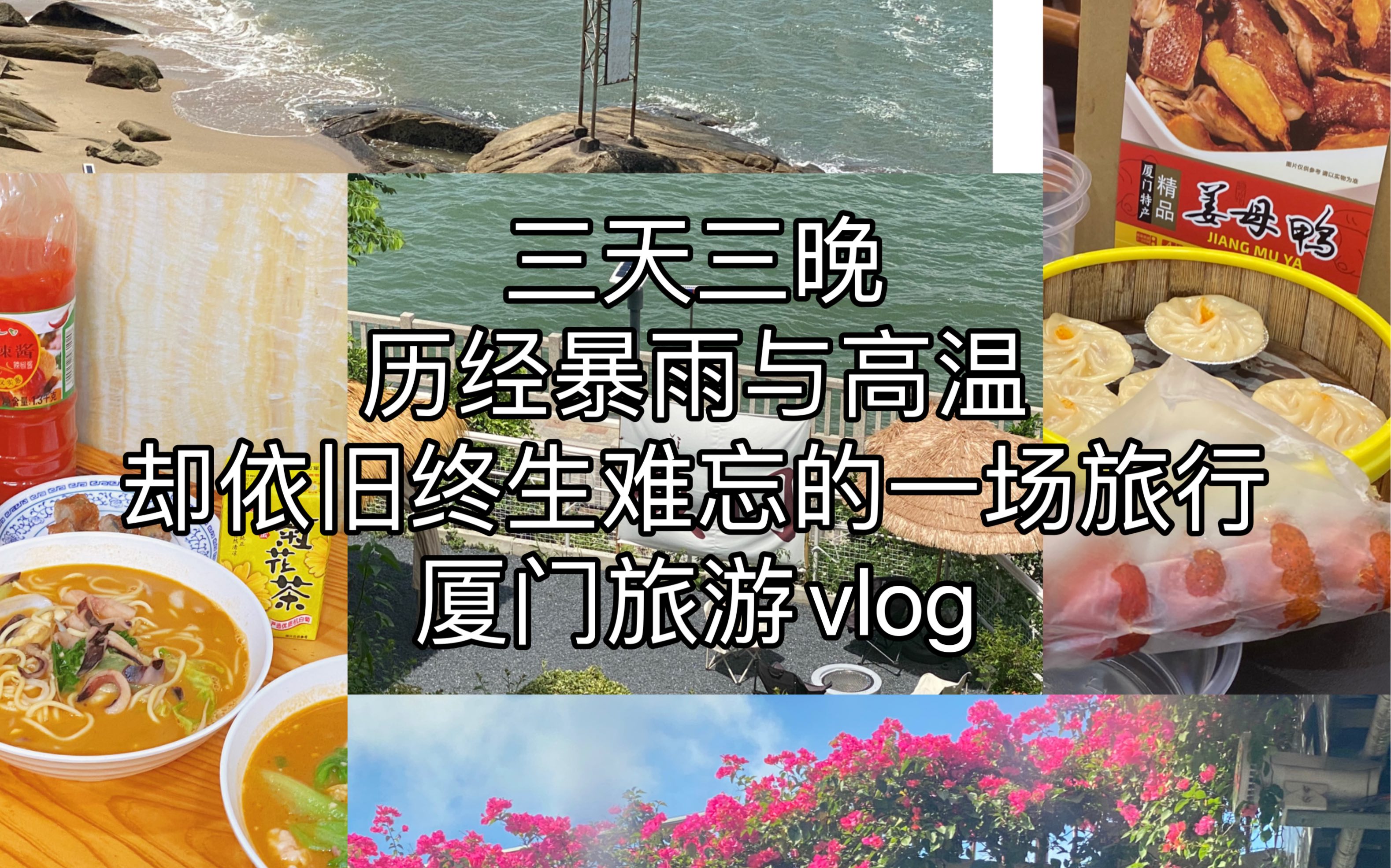 【厦门旅游vlog】三天三晚,让厦门环岛路的海风净化内陆湖南人民的灵魂吧——哔哩哔哩bilibili