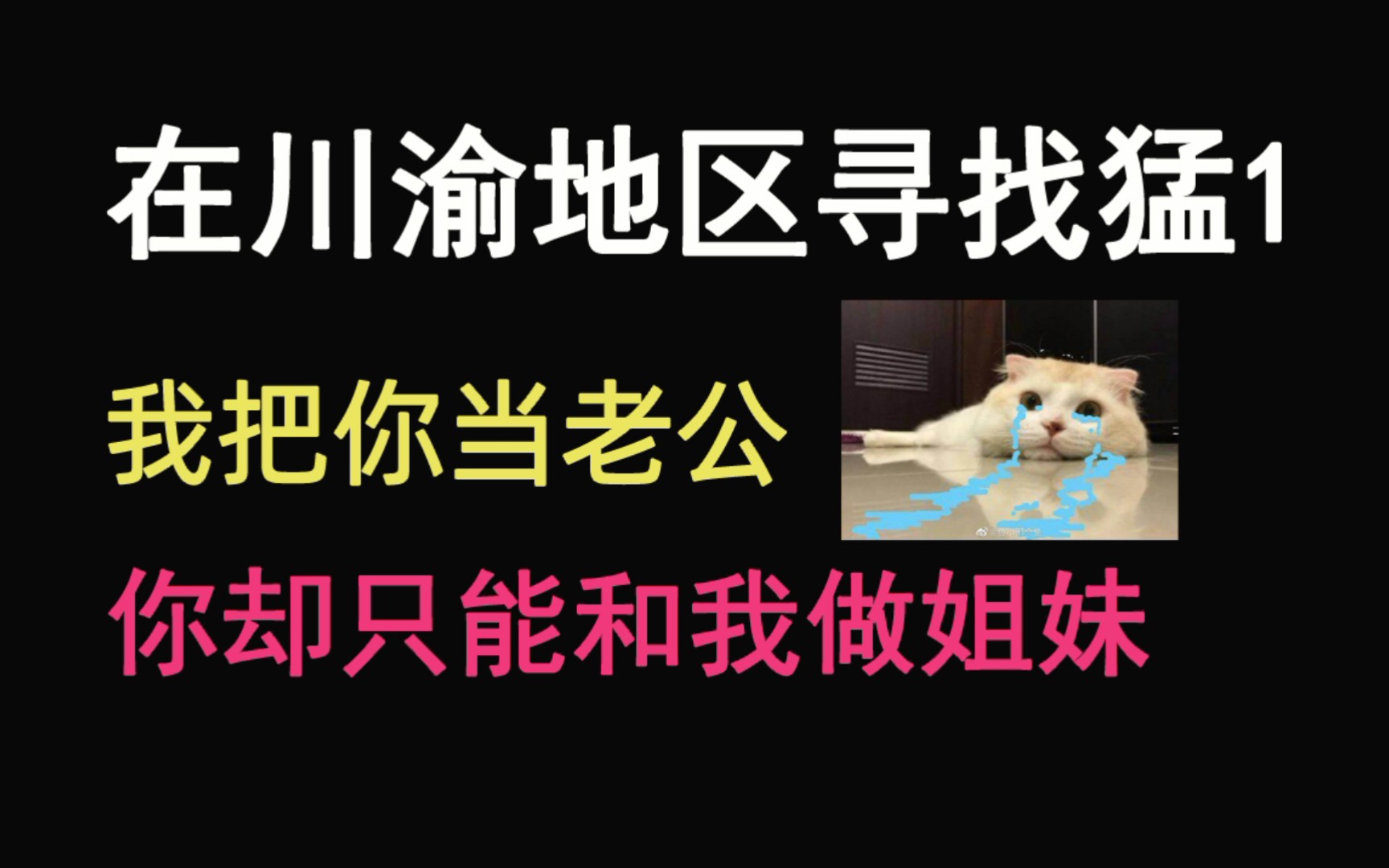 推文川渝猛1竟在我身边在川渝地区谈恋爱是一种怎样的体验