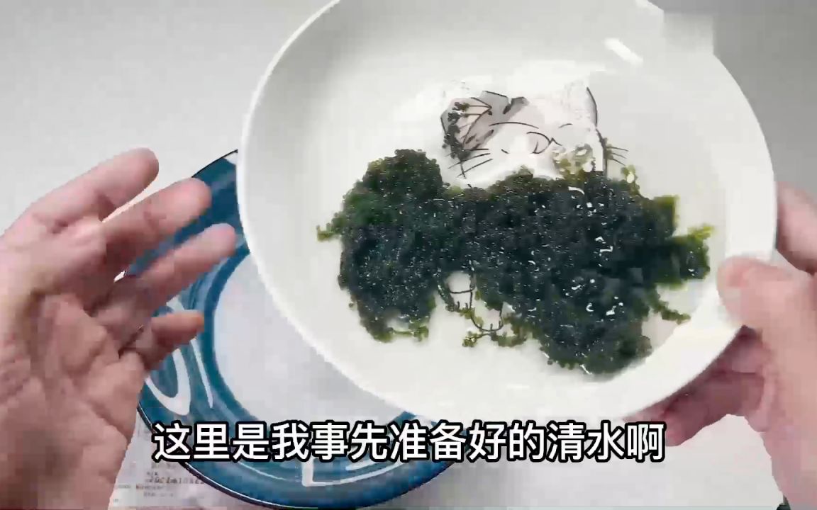 [图]巍巍荡荡试吃植物中的鱼子酱“海葡萄”！吃起来竟然还嘎嘣脆？！