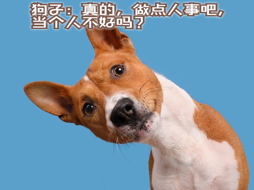 狗子:真的,做点人事吧,当个人不好吗?
