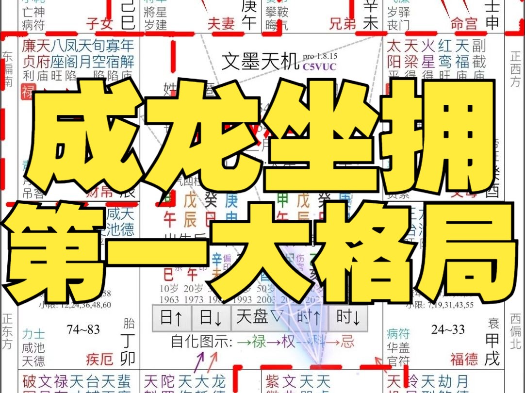 紫微斗数案例69:紫微斗数第一大格局!君臣庆会格!哔哩哔哩bilibili