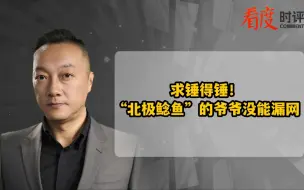 Download Video: 求锤得锤！“北极鲶鱼”的爷爷没能漏网