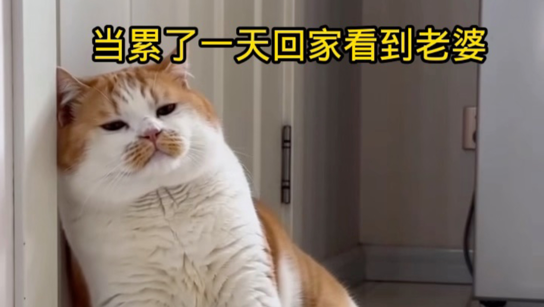 当累了一天看到老婆
