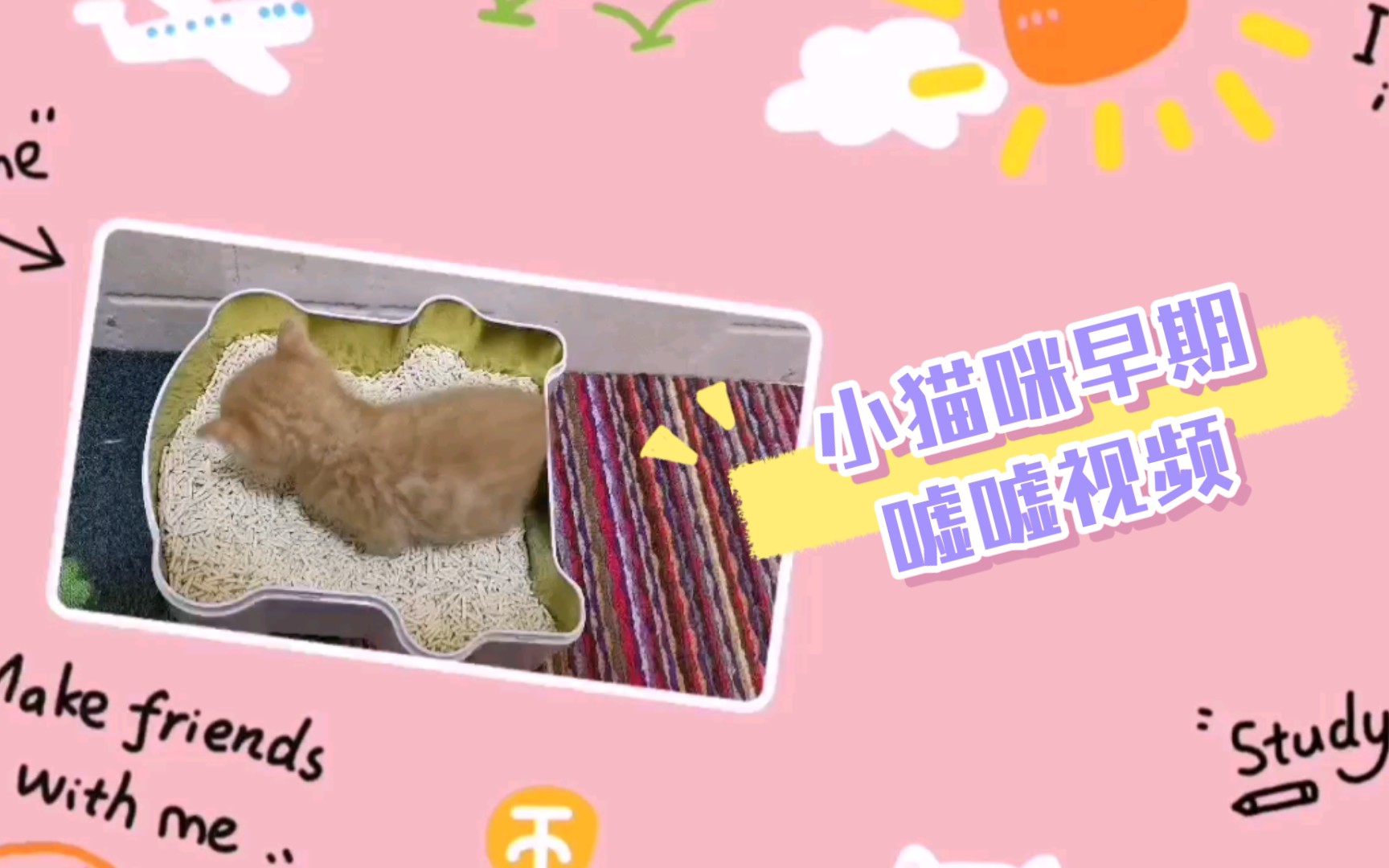 小猫咪早期嘘嘘视频流出!血槽清空哔哩哔哩bilibili