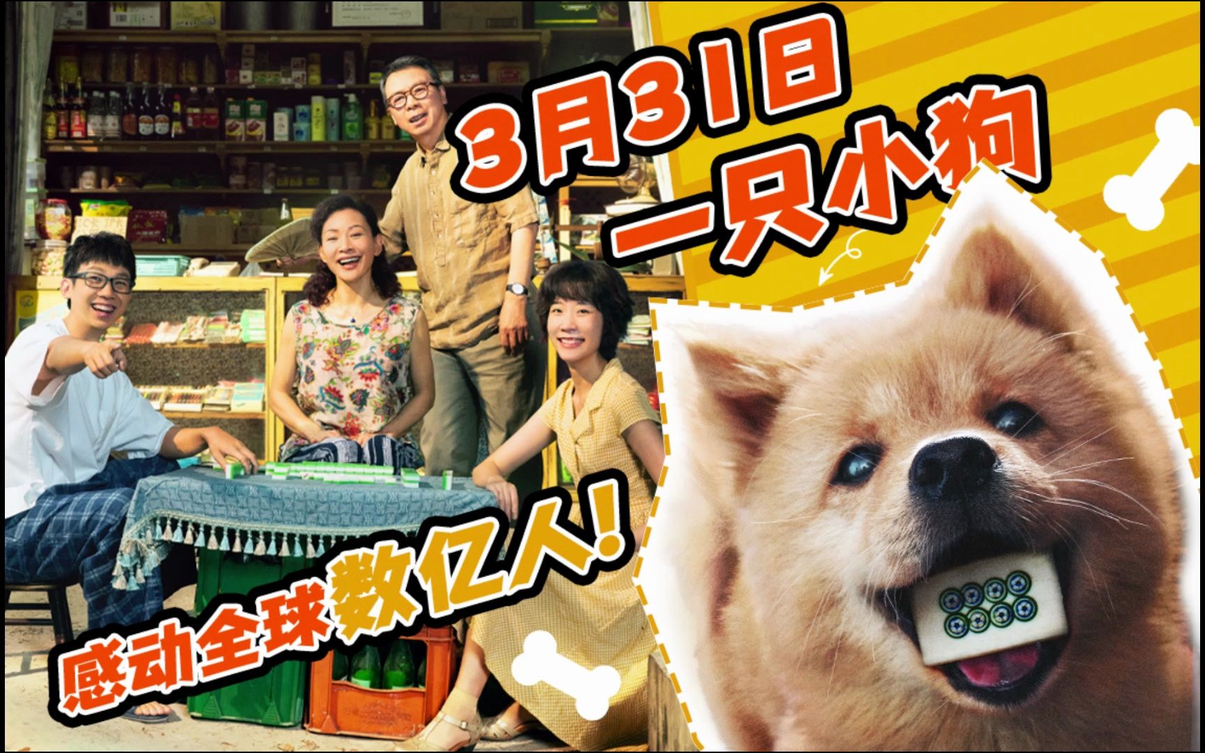 电影《忠犬八公》定档3月31日,一只小狗感动全球数亿人!哔哩哔哩bilibili